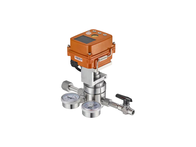 进口电动背压阀