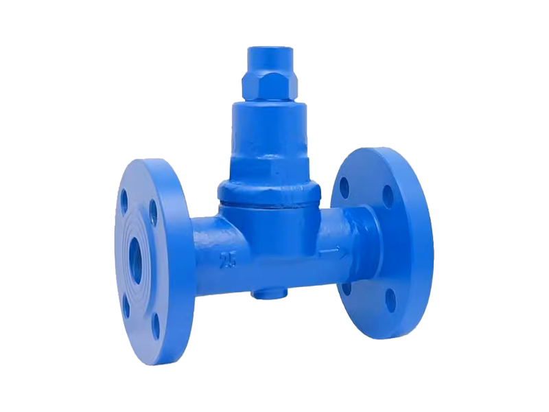 进口波纹管式蒸汽疏水阀