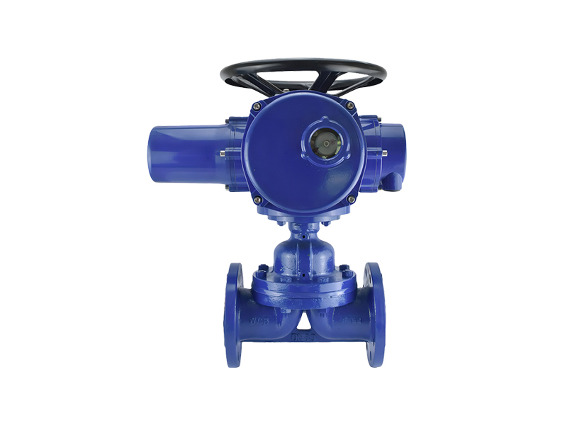 进口电动隔膜阀