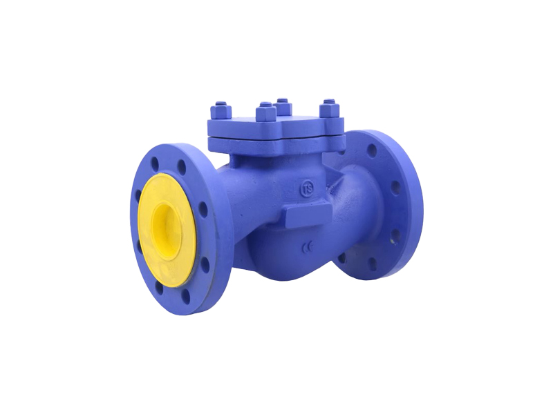 进口蒸汽止回阀