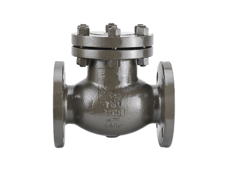 进口碳钢止回阀